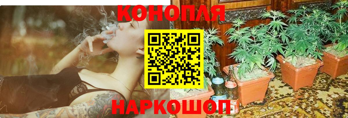 Конопля семена  Каннабис OG Kush  Вход с VPN  Ипатово  Канабис ГИДРОПОН  Канабис White Widow 